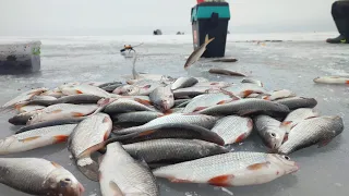 ПОПАЛИ НА ЖОР!!!  ЛЕСКА РИПИТЬ. Зимова рибалка 2023 на Кременчуцькому водосховищі