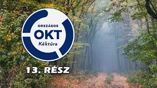 Országos Kéktúra: 13. rész - Bodajk - Zirc (70km)