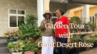 Garden tour with giant desert rose