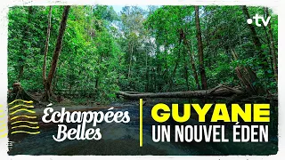 Guyane, un nouvel éden - Échappées belles
