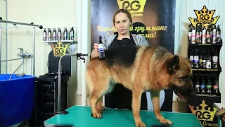 Сухой шампунь для животных – уход за шерстью без мытья. Royal Groom Груминг-спрей Экспресс-Чистота.