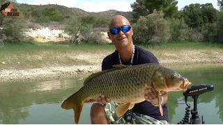 Ebro Grand Slam 2.0 Summer Edition - Karpfen mit Wurm auf Sicht