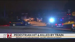 Pedestrian hit and killed by train