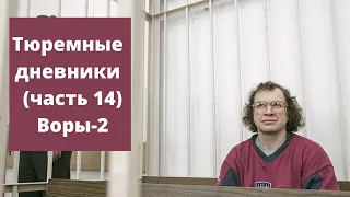 Сергей Мавроди: Тюремные дневники часть 14, Воры 2