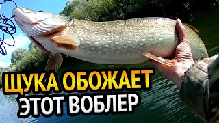 Ловля Щуки Сплавом на  Воблера от BEARKING. Этот воблер щука обожает.