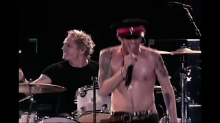 SHE BUILD QUICK MACHINES (SOUTH AMERICA TOUR 2007 TIERRA ROJA SANGRE ROJA) VELVET REVOLVER BEST HITS