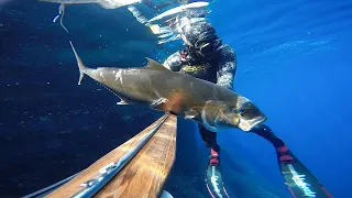 Spearfishing Croatia - NeoCarbone - "Greater amberjack from Vis" by Bože Muše