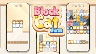 Block Cat jam (by ACTIONFIT) IOS Gameplay Video (HD)