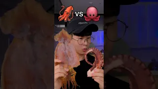 Squid or Octopus🧐