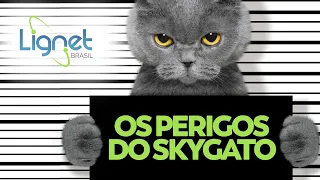 OS PERIGOS DA SKY GATO