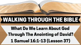 What Do We Learn About God Through the Anointing of David? | 1 Samuel 16:1-13 | Lesson 37 | WTTB