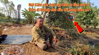 Chạng vạng người đàn ông gặp chuyện "kinh hoàng" ở Núi Cấm nghe hết lý do mà ốc cục nổi liên hồi