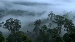 Beautiful HD Video Footage from Maliau Basin - Sabah's Lost World