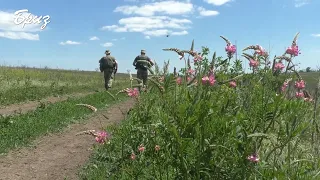 Ситуація поблизу населеного пункту Мар'їнка