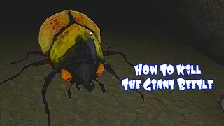 How To Kill The Giant Beetle In The Twins