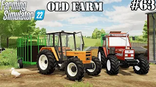 FS 22 |OLD FARM| Buying cows. Selling silage | Timelapse # 63