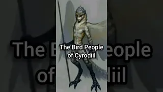 The Bird People of Cyrodiil... #tes #lore #theelderscrolls #Skyrim #deeplore #bethesda #oblivion