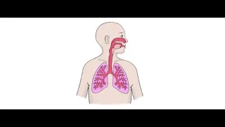 Acute asthma - Dr Osama Hosheh