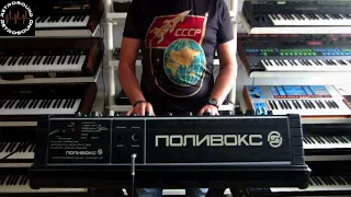 ПОЛИВОКС синтезатор POLIVOKS Analog Synthesizer (1982) "Дальний Восток"