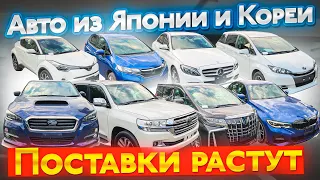 ЧТО ПОКУПАЮТ В ЯПОНИИ?🔥200 крузак, ALPHARD, BMW, Мэрс и тд🔥