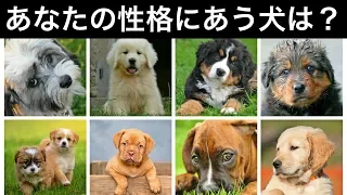 【心理テスト】あなたの性格にピッタリな犬はこれ！深層心理から相性のいい犬をみつけるテスト