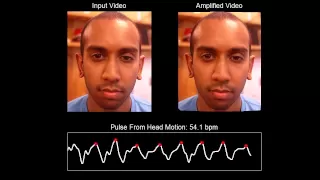 Detecting Pulse From Head Motions in Video