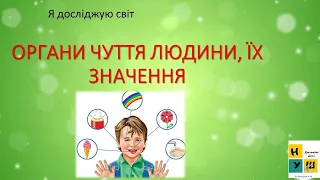 Урок 72. Органи чуття людини, їх значення. ЯДС 3 клас  за підручником І.Жаркової