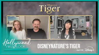 DISNEYNATURE'S TIGER (2023) | Interviews with Mark Linfield, Vanessa Berlowitz, and Roy Conli