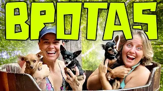 72 HORAS COM MEUS CACHORROS EM BROTAS SP | VLOG DE VIAGEM | HOTEL PET FRIENDLY