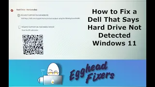 How to Fix a Dell That Says Hard Drive Not Installed on a Windows 11 Computer