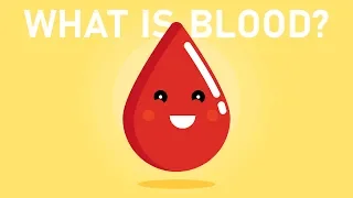 What is Blood?