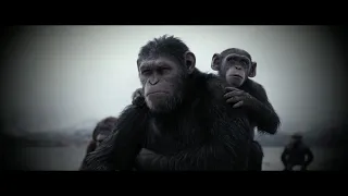 Kingdom of the Planet of the Apes | Featurette Legacy