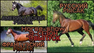 🐴Horse-Show🐴 3-СЕЗОН 7-ВЫПУСК (АМЕРИКАНСКИЙ, РУССКИЙ, ФРАНЦУЗСКИЙ РЫСАК) "Подмена"