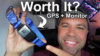 Dog GPS Collar | FI Series 2 Dog Collar - Is it Worth It?