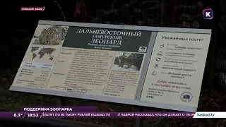 Ведущий «Каскада» станет опекуном леопарда в Калининградском зоопарке