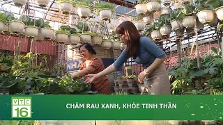 CHĂM RAU XANH, KHỎE TINH THẦN | VTC16