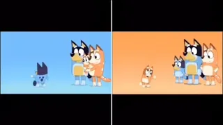 Bluey Intro Vs Bingo Intro