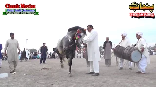 Horse Dance Jashne Bodla Bahar 2017 Abadi Shahbaz Nagar Pakpattan 16