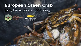 European Green Crab Early Detection and Monitoring