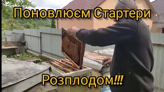 Поновлюєм Стартери Розплодом!!!