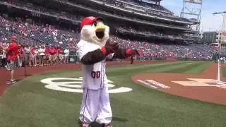 Screech Does the Home Run trot