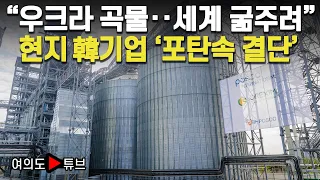[여의도튜브] “우크라 곡물‥세계 굶주려” 현지 韓기업 ‘포탄속 결단’ /머니투데이방송
