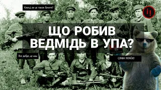 ТАЄМНА ЗБРОЯ: ВЕДМІДЬ В УПА. НЕЙМОВІРНА ІСТОРІЯ БРАТІВ БІЛІНЧУКІВ І ДОПОМОГА РУМУНСЬКОМУ РУХУ ОПОРУ