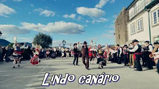 Lindo Canário - Rancho Folclórico da Ribeira - Comemorações do dia de Ponte de Lima