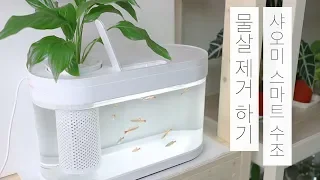 샤오미 스마트 수조 #4 | 물살 제거 | 아쿠아포닉스 | 수경재배 | Xiaomi Geometry Fish Tank  | Aquaponics | peace lily | 물멍