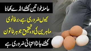 Why Is Eggs Important For Pregnant Women? Urdu Hindi | Urdu Lab