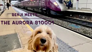 First ever EMR 810 into Derby Station..and Benji was there!