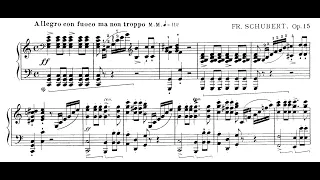 Schubert & Liszt -"Wanderer" Fantasy (S. 565a) - György Oravecz Piano