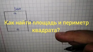 Как найти площадь и периметр квадрата?