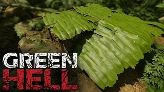 BASE BUILDING UPDATE! Green Hell Survival Episode 7